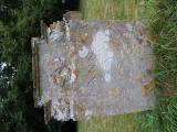 image of grave number 845443